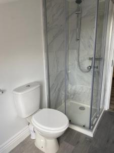 a white bathroom with a toilet and a shower at Gloun Cross Lodge in Dunmanway