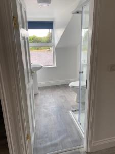 a bathroom with a toilet and a sink at Gloun Cross Lodge in Dunmanway