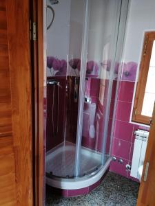 y baño con ducha de cristal y paredes rosas. en Cabañas Miraduero, en Aldeadávila de la Ribera