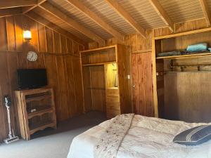1 dormitorio con 1 cama y TV en una habitación en Casa D'Pa en San Gerardo de Dota