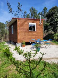 a tiny house with a picnic table in front of it at Casa Carini in Sertã