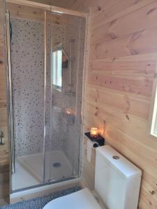 a bathroom with a shower and a toilet at Casa Carini in Sertã