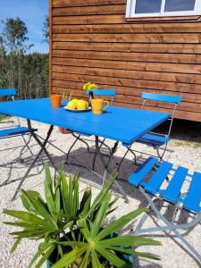 een blauwe picknicktafel met stoelen en fruit erop bij Casa Carini in Sertã