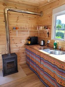 a kitchen with a stove and a sink in a cabin at Casa Carini in Sertã