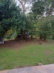park z drzewami i ławką w trawie w obiekcie La petite perle w mieście Ducos