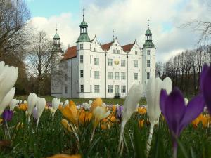 a large white castle with a field of flowers at Holiday apartment Schramm in Bargteheide