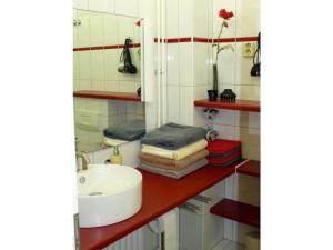 a bathroom with a sink and a mirror at Holiday apartment Schramm in Bargteheide +13 photos