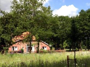 Zahrada ubytování Attractive apartment in Westerstede