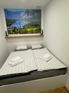 um quarto com uma cama com uma fotografia na parede em Apartma Tisa Bohinj em Bohinj
