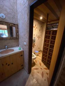 uma casa de banho com um lavatório e um WC em divino aconchego unicamp em Campinas