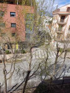 a tree with no leaves in front of some buildings at Luz de la Avenida in Tomelloso