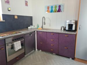 シュヴェツィンゲンにあるFerienwohnung Schwetzingenのキッチン(紫色のキャビネット、シンク付)