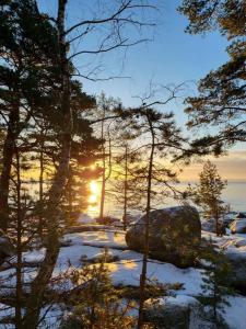 a sunset in a forest with a rock and trees at Saunamökki Emäsalossa in Porvoo