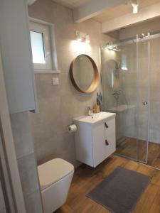 a bathroom with a toilet and a sink and a shower at APANÓWKA domki z balią jacuzzi sauna in Trzebiechowo