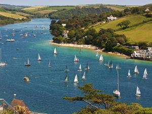 a large group of sailboats on a large body of water at Sandcastles 15A Fore Street in Salcombe
