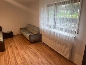 巴特塞京根的住宿－LUNA，带沙发和窗户的客厅