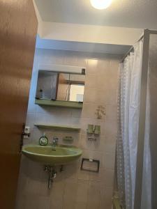 巴特塞京根的住宿－LUNA，一间带绿色水槽和淋浴的浴室