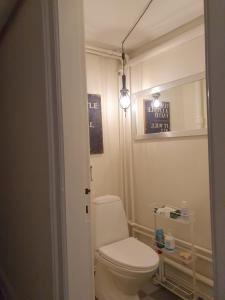 a bathroom with a toilet and a light at Edelsminde Bed & Breakfast in Haslev