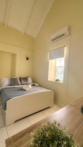 a bedroom with a bed and a window at Villa Rubia Bonaire in Kralendijk