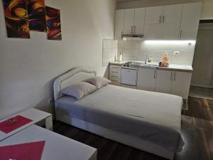 Kuchyň nebo kuchyňský kout v ubytování Apartmani Borko 1-1 + 4 fotografie