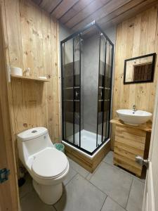 uma casa de banho com um WC, um chuveiro e um lavatório. em Lodge Los Bosques em Matanzas