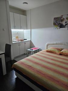 Postel nebo postele na pokoji v ubytování Apartmani Borko 3-3