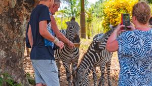 Dos personas están tomando una foto de dos cebras en BoraBora Wildlife park and Luxury Tented Safari Camp Diani, en Diani Beach