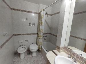 a bathroom with a toilet and a tub and a sink at ADM Ayamitre Hotel in Buenos Aires