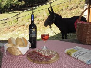 Gallery image of Agriturismo AGRIMON in Sabbio Chiese