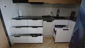 Kuchyň nebo kuchyňský kout v ubytování AVAPARTS Apartament FAMILY
