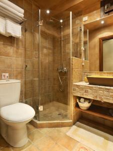 a bathroom with a shower and a toilet and a sink at Lousiou Nymphes escape suites in Dimitsana