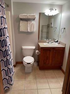 uma casa de banho com um WC e um lavatório em *APRES SKI LODGE, SKI IN-SKI OUT, CENTRAL VILLAGE! em Snowshoe
