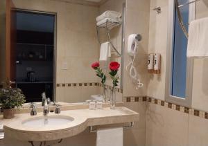 Roomie Salta by DOT Suites في سالتا: حمام مع حوض ومرآة