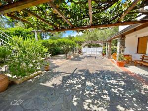 Villa Arco في بالينورو: فناء به مجموعة من النباتات والأشجار