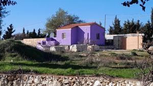 a purple house sitting on top of a hill at Jerash mountain studio chalet شاليه جبال جرش و عجلون in Jerash