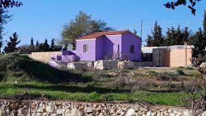 Zahrada ubytování Jerash mountain studio chalet شاليه جبال جرش و عجلون