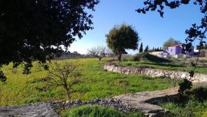 Zahrada ubytování Jerash mountain studio chalet شاليه جبال جرش و عجلون