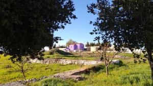 una casa rosa sobre un campo con árboles en Jerash mountain studio chalet شاليه جبال جرش و عجلون, en Jerash