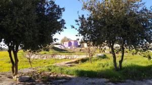 Zahrada ubytování Jerash mountain studio chalet شاليه جبال جرش و عجلون