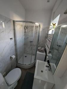 La salle de bains est pourvue d'une douche, de toilettes et d'un lavabo. dans l'établissement Przytulne mieszkanie w kamienicy, à Radomsko