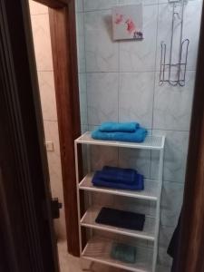 y baño con ducha y toallas azules en las estanterías. en La Villa de Santa Úrsula a 5km de Puerto de La Cruz en Santa Úrsula