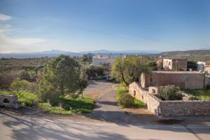 an aerial view of a village with trees and buildings at Santis apartment in Areopolis