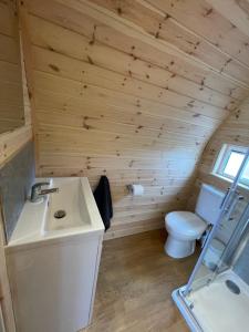 a bathroom with a white sink and a toilet at Stoer Pods - Suilven Pod in Lochinver