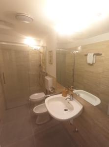 y baño con lavabo, aseo y ducha. en Cozy Apartment in a Historic Villa, en Merano