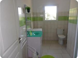 Appartement moderne et calme à Sartène en Corse du Sud في سارتين: حمام أخضر و أبيض مع حوض و مرحاض