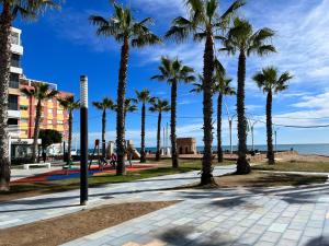 a row of palm trees on a sidewalk near the beach at Sol de mar, La Mata (Hiszpania) in La Mata