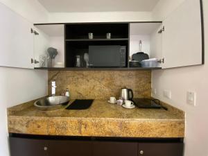 加拉加斯的住宿－Suite. HotelCCT，厨房柜台设有水槽和微波炉