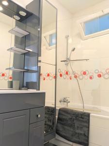 ein Badezimmer mit einer Dusche, einem Waschbecken und einer Badewanne in der Unterkunft NOUVEAU Appartement T2 meublé classé, secteur petite Provence in Amélie-les-Bains-Palalda