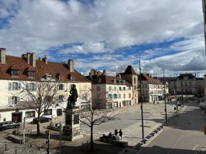a city square with a statue in front of buildings at F2 hyper centre ville Lons in Lons-le-Saunier