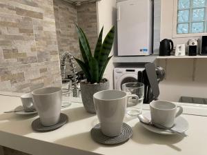 a kitchen counter with two cups and a plant on it at Blue Iris Home in Sanremo